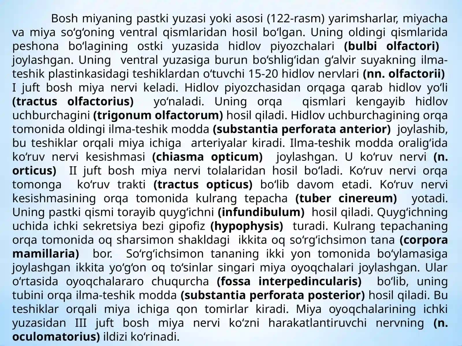 Bosh va orqa miya pervlarining fizilogiyasi 4