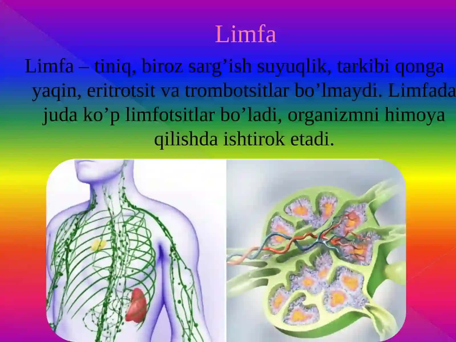QON VA UNING VAZIFALARI 4