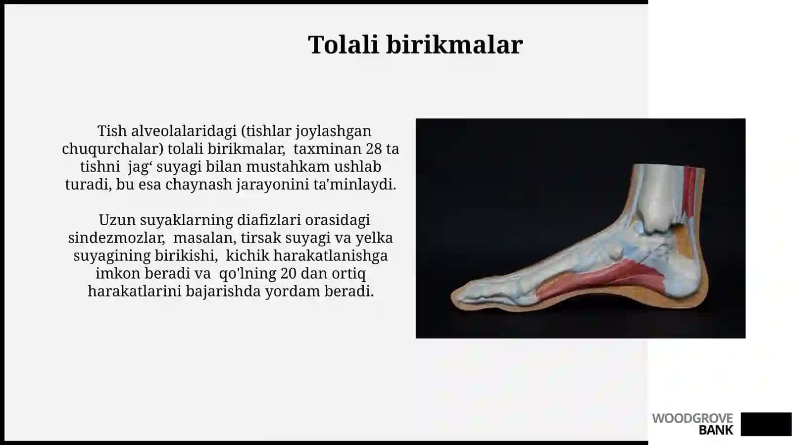Suyak toʻqimasi.Suyaklarning birikishi.Boʻlimbyuzalarining xillari va boʻgʻim turlari 4