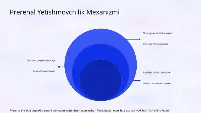 O'tkir Buyrak Yetishmovchiligi: Bosqichlari va Klinikasi 4