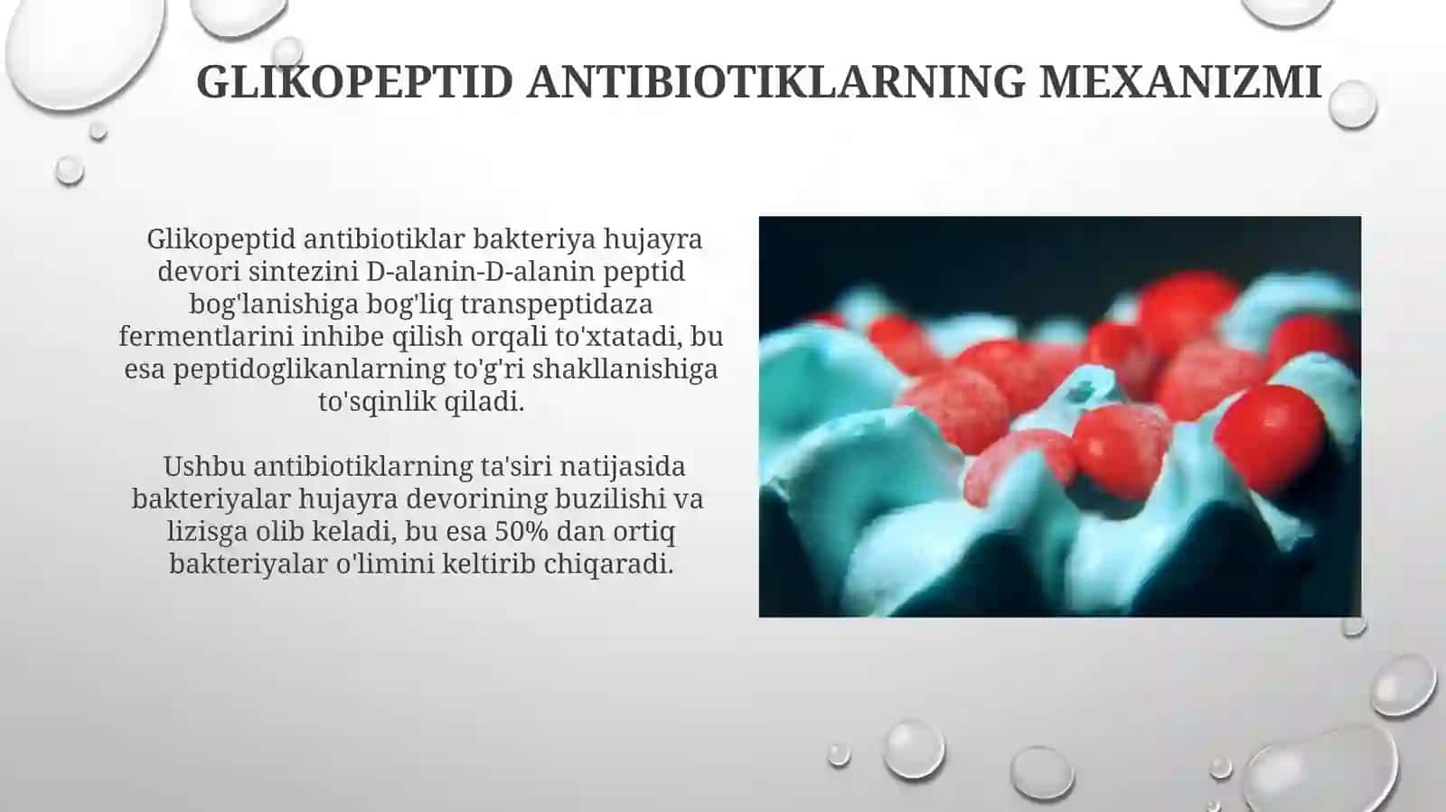 Glikopeptid antibiotiklari 4