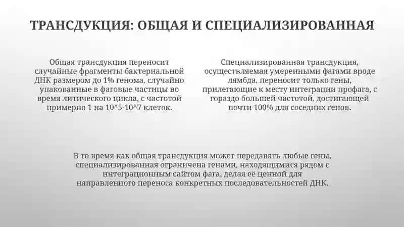 Трансформация. Трансдукция. 4