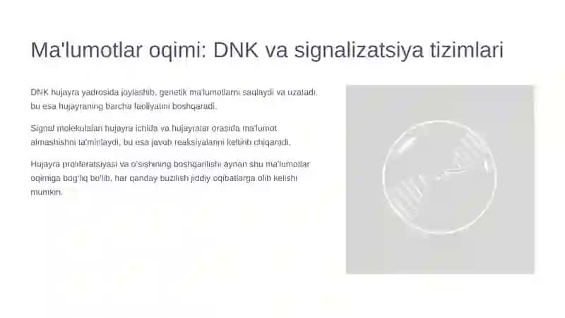 Hujayrada moddalar, energiya va ma'lumotlar oqimi hamda proliferatsiya muammolari: Tibbiyotda yangi qarashlar 4