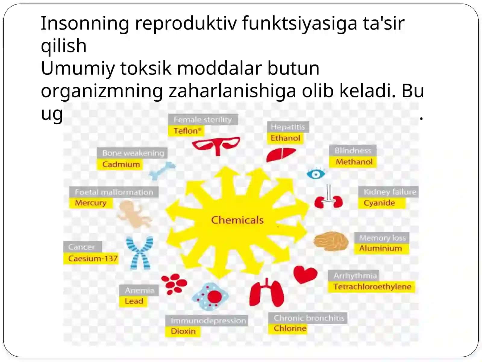 DORIVOR O’SIMLIKLAR YETISHTIRISH VA QAYTA ISHLASH TEXNOLOGIYALARI TA’LIM YONALISHI 4