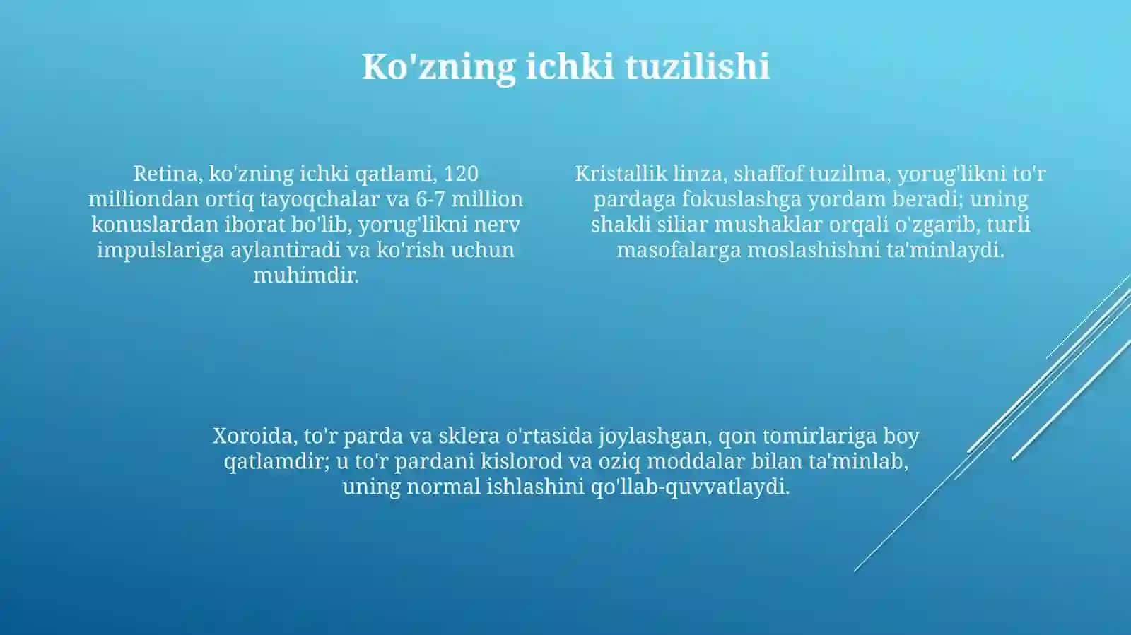 Koʻz ichki va tashqi tuzilishi 4