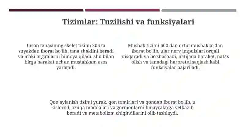 Odam tana qismlari tuzilishi va funksiyalari 4