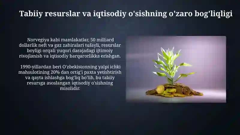 Tabiiy Boyliklarning Cheklanganligi va Barqaror Iqtisodiy O'sish 4