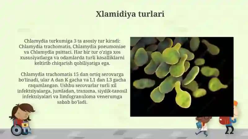 Xlamidiya va Mikoplazma Infektsiyalari 4