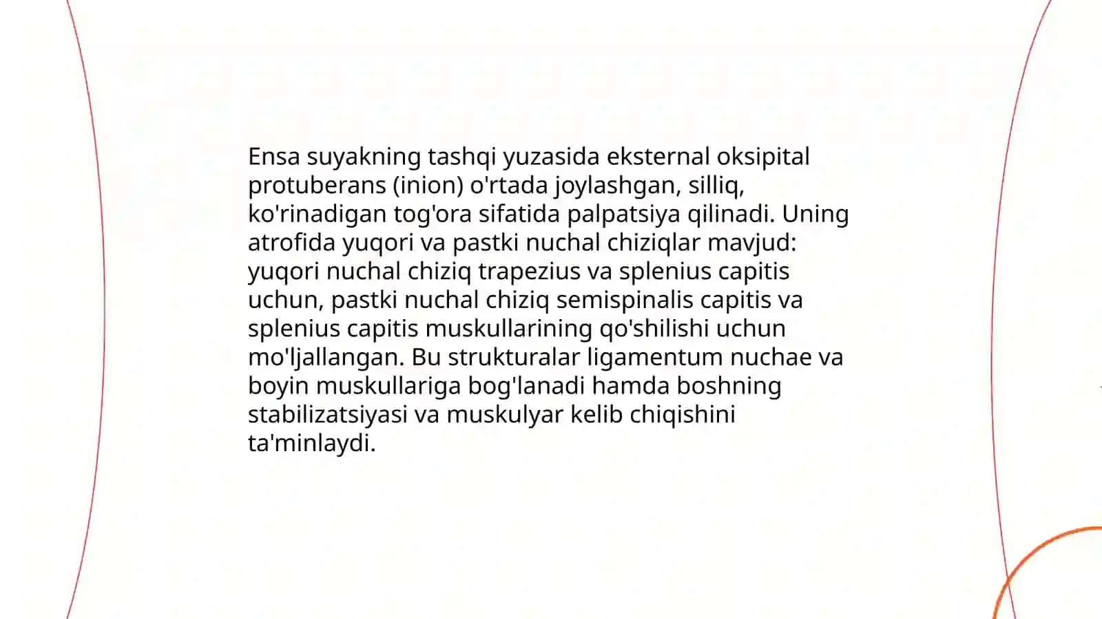 Bosh suyaklari:ensa va tepa suyak anatomiyasi 4