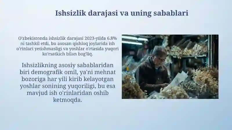O'zbekiston mehnat bozoridagi muammolar: Umumiy ko'rinish 4