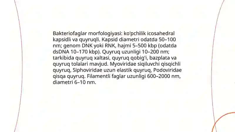 Bakteriofaglar 4