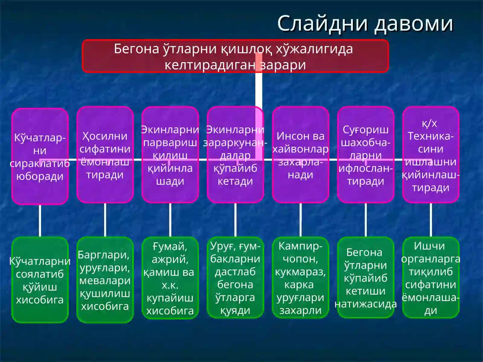 БЕГОНА ЎТЛАР ҲАҚИДА ТУШУНЧА, УЛАРНИНГ ЗАРАРИ ВА БИОЛОГИК ХУСУСИЯТЛАРИ 4