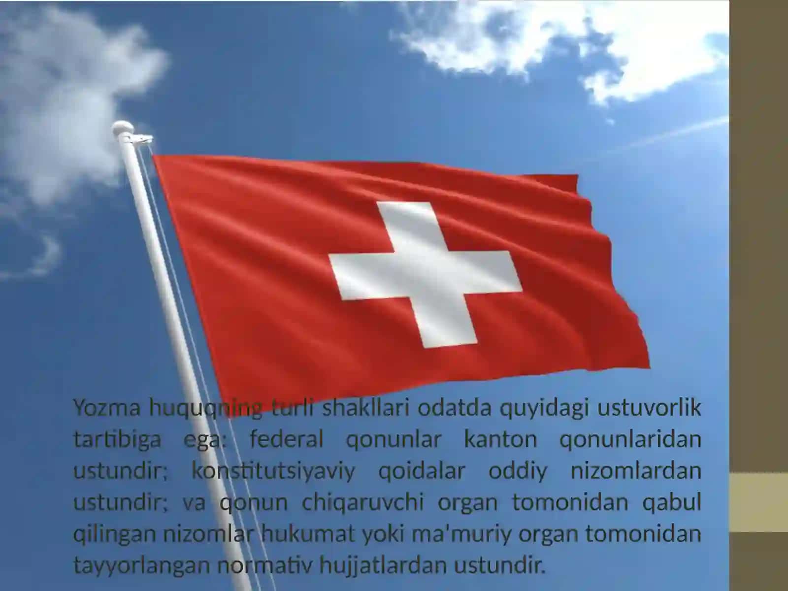Shvetsariyaning Iqtisodiy va Siyosiy dinamikasi 4