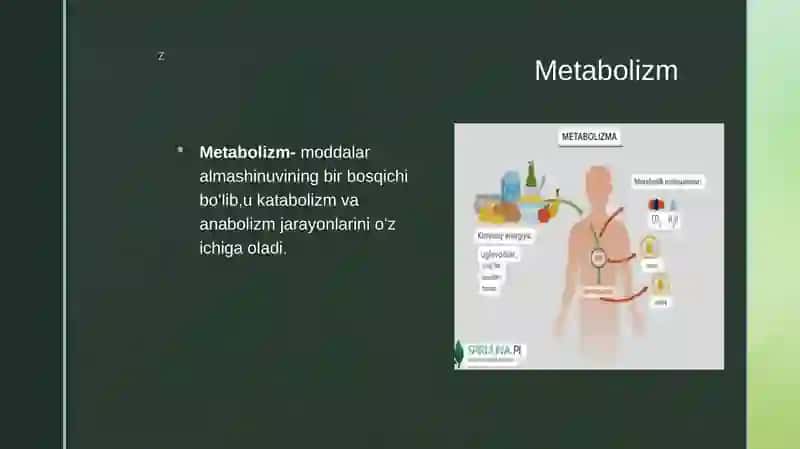 Katabolizm va anabolizm. Uning normal va patologik holatlardagi oʻzgarishi 4