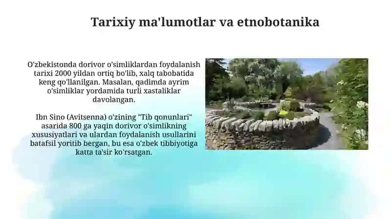 O‘zbekistonda yetishtiriladigan dorivor o‘simliklar 4