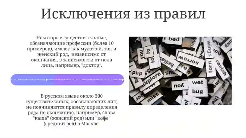 Определение рода имен существительных по значению и окончанию 4