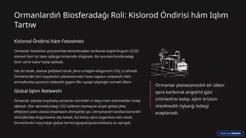 Orman: Ekologiyalıq Teń Salmaqlılıqtıń Tirigi Júregi 4