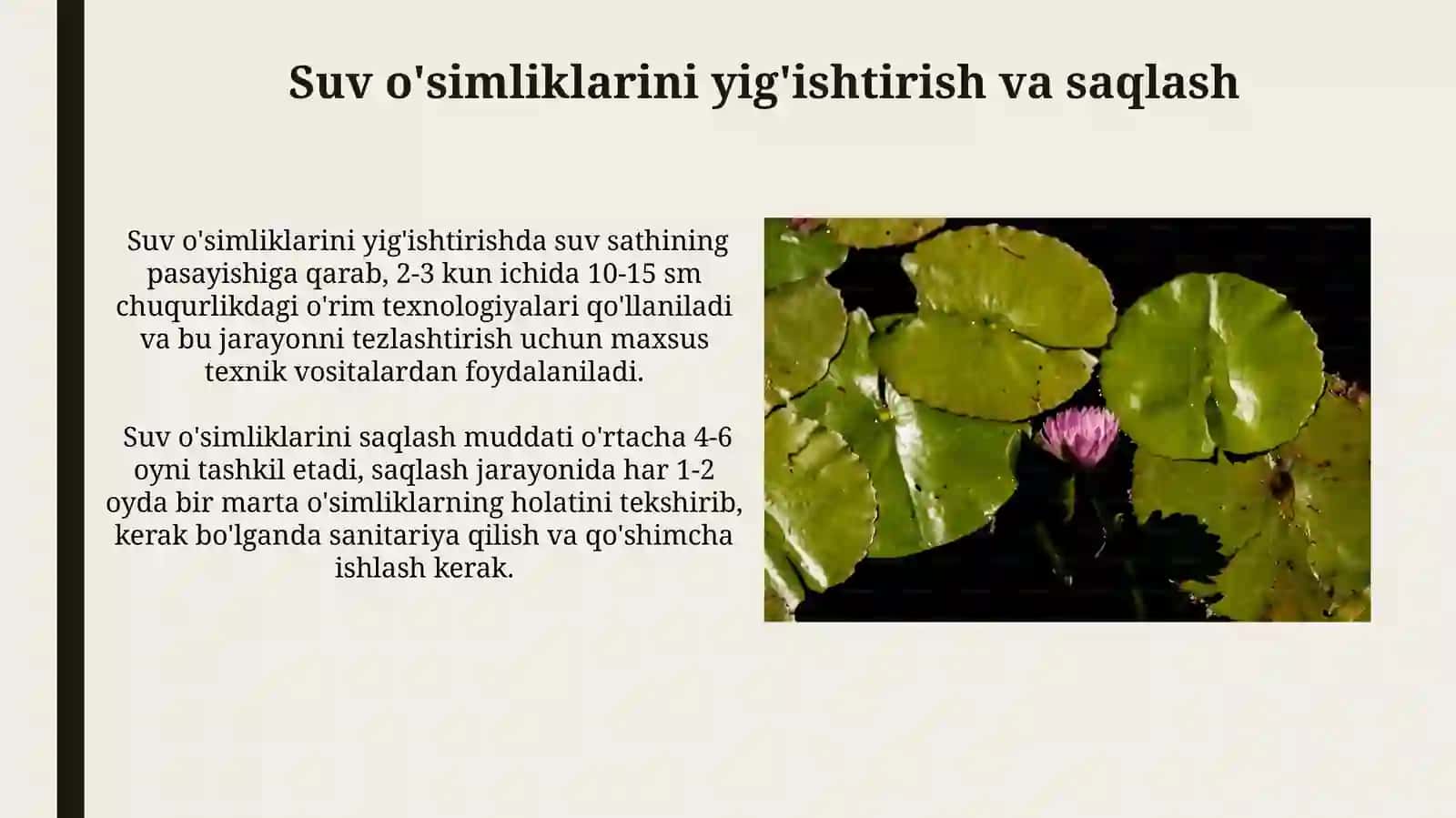 Suv oʻsimliklari mahsulotlarini marketingi va sotilishi 4