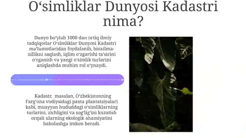 Oʻsimliklar Kadastrini Yaratish va Boshqarish 4