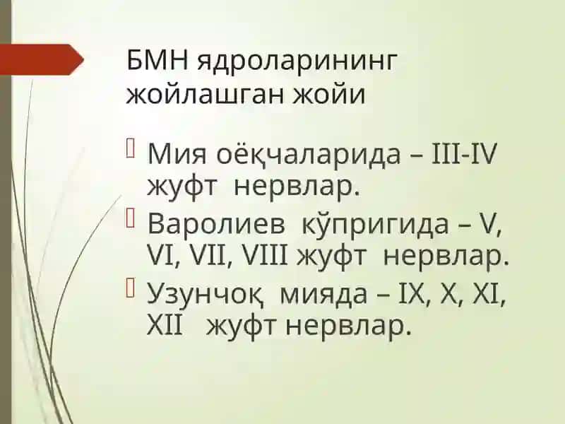 Бош мия нервлари 4