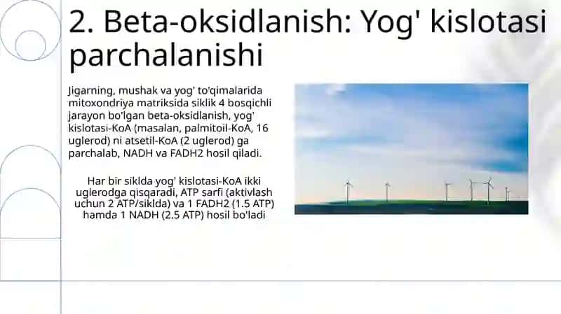 Metobolizm jarayonida energiyani hosil bòlishi va sarflanishi 4