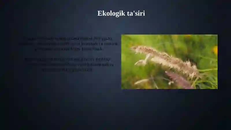 Integratsiyalashgan yondashuv 4