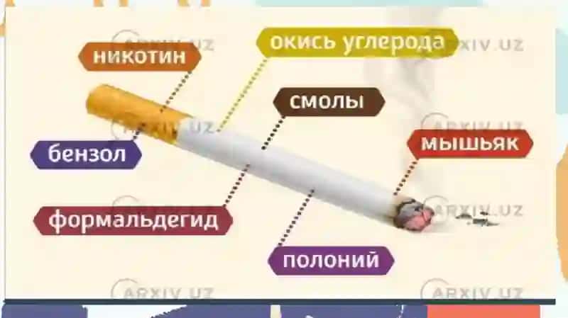 Nikotinizm va uning asoratlari 4