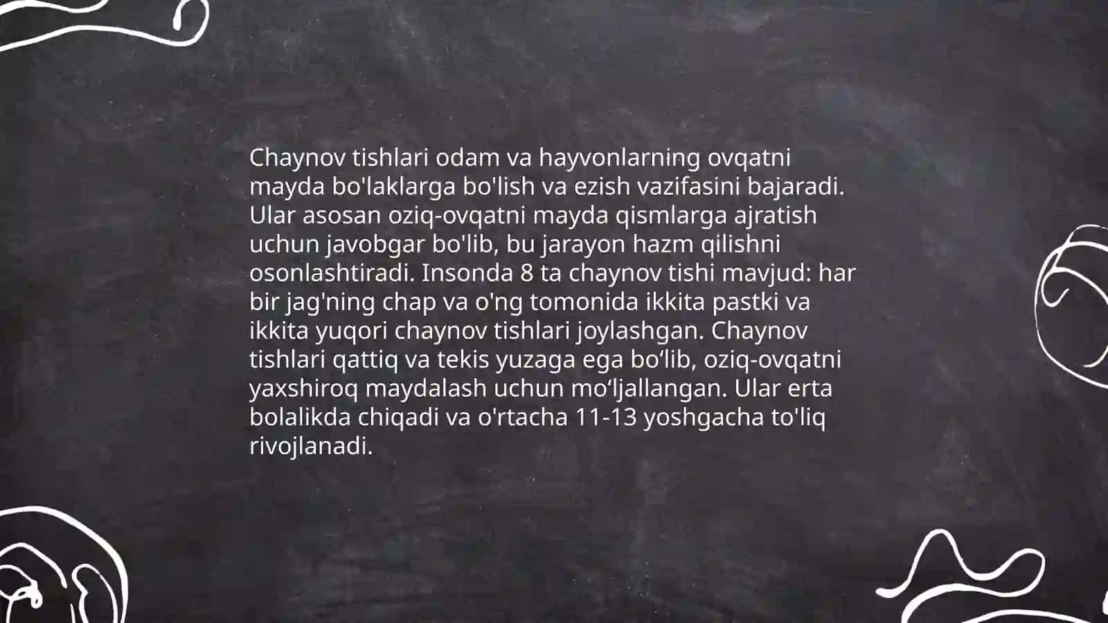 Doimiy tishlovdagi chaynov tishlarining tuzilishi 4