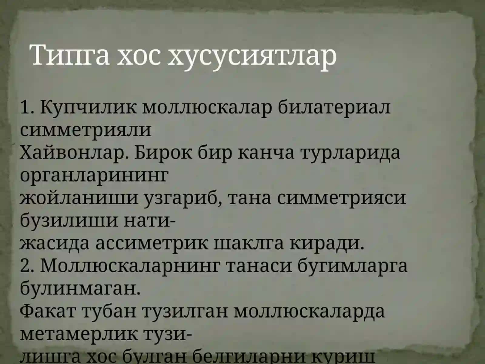Molluskalar tipi haqida umumiy maʼlumot 4