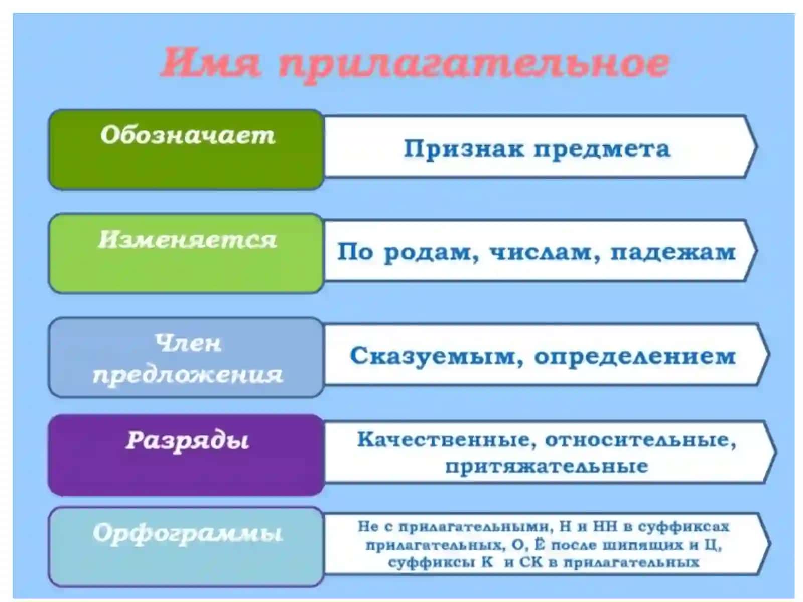 Имя прилагательное.Разряды и склоненияимен прилагательных 4
