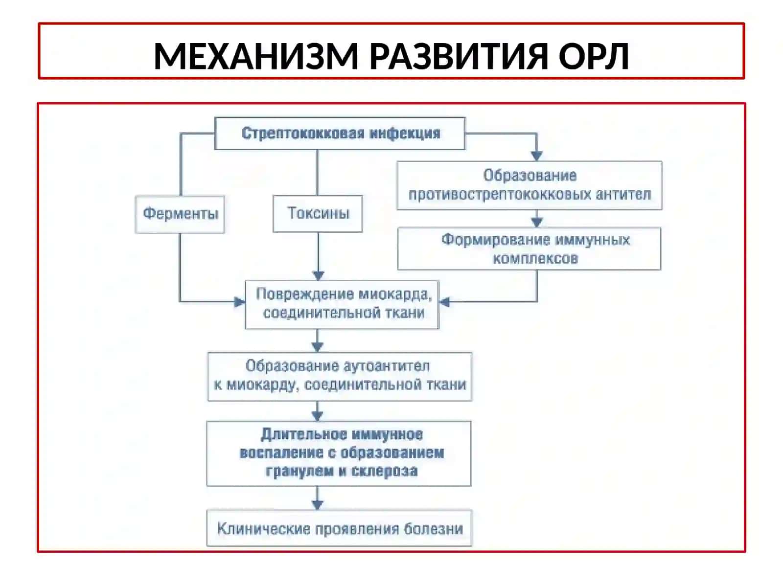 Острая ревматическая лихорадка, определение 4