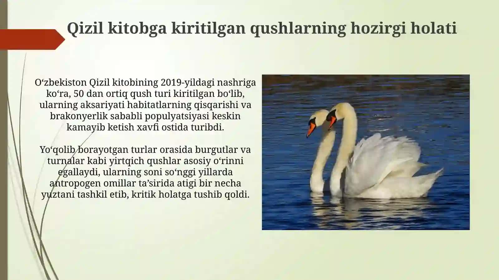 O‘zbekiston Qizil kitobi 4