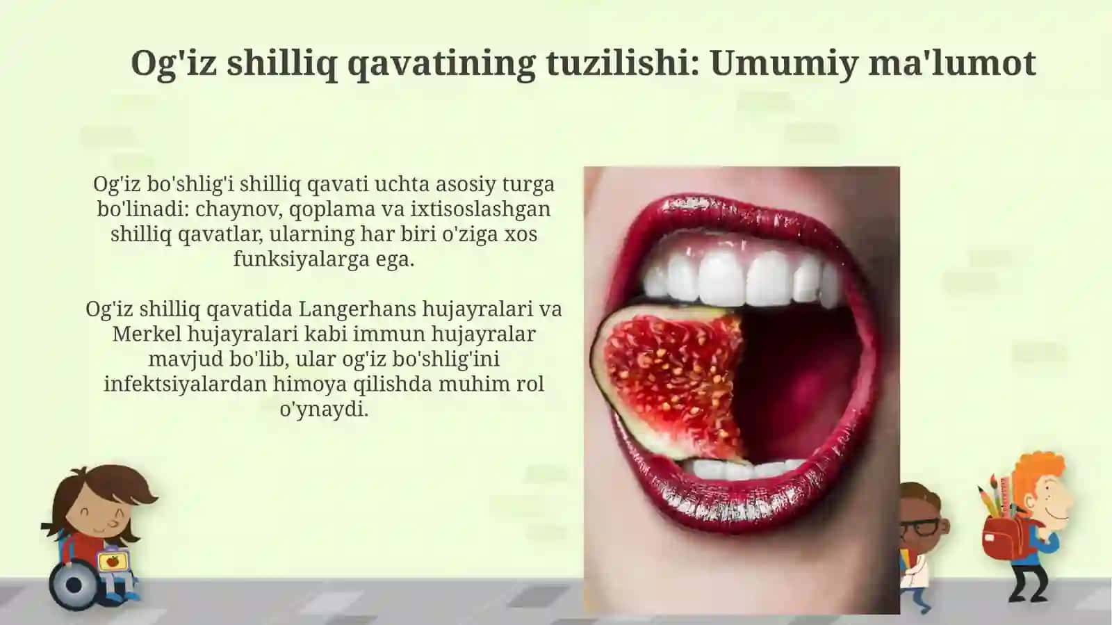 Og'iz bõshlig'i shilliq qavatini tuzulishining yoshga doir hususiyatlari 4