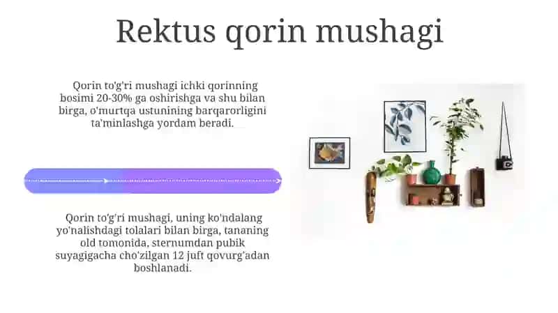 Yon Qorin Devori Mushaklari 4