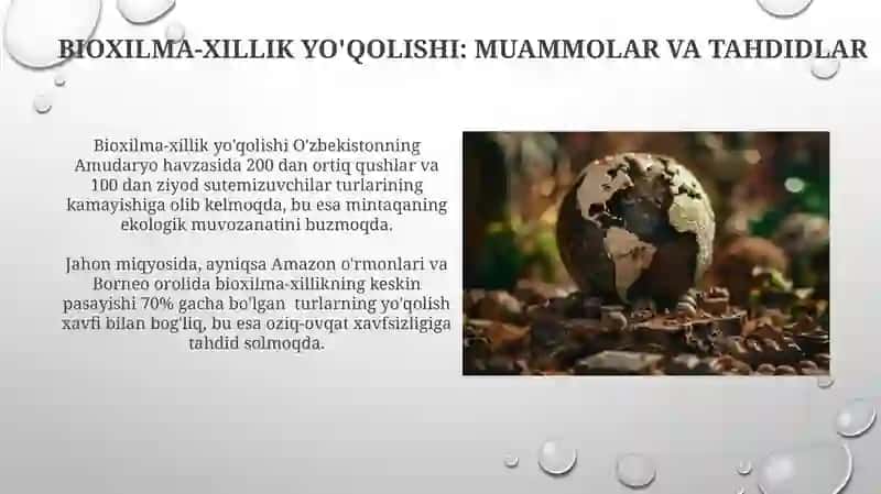 Respublikamiz va dunyodagi global ekologik muammolarining kelib chiqishi va oqibatlari 4