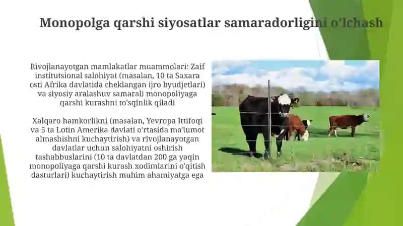 Rivojlangan mamlakatlarda manopoliyaga qarshi siyosat borasidagi tajribalar 4