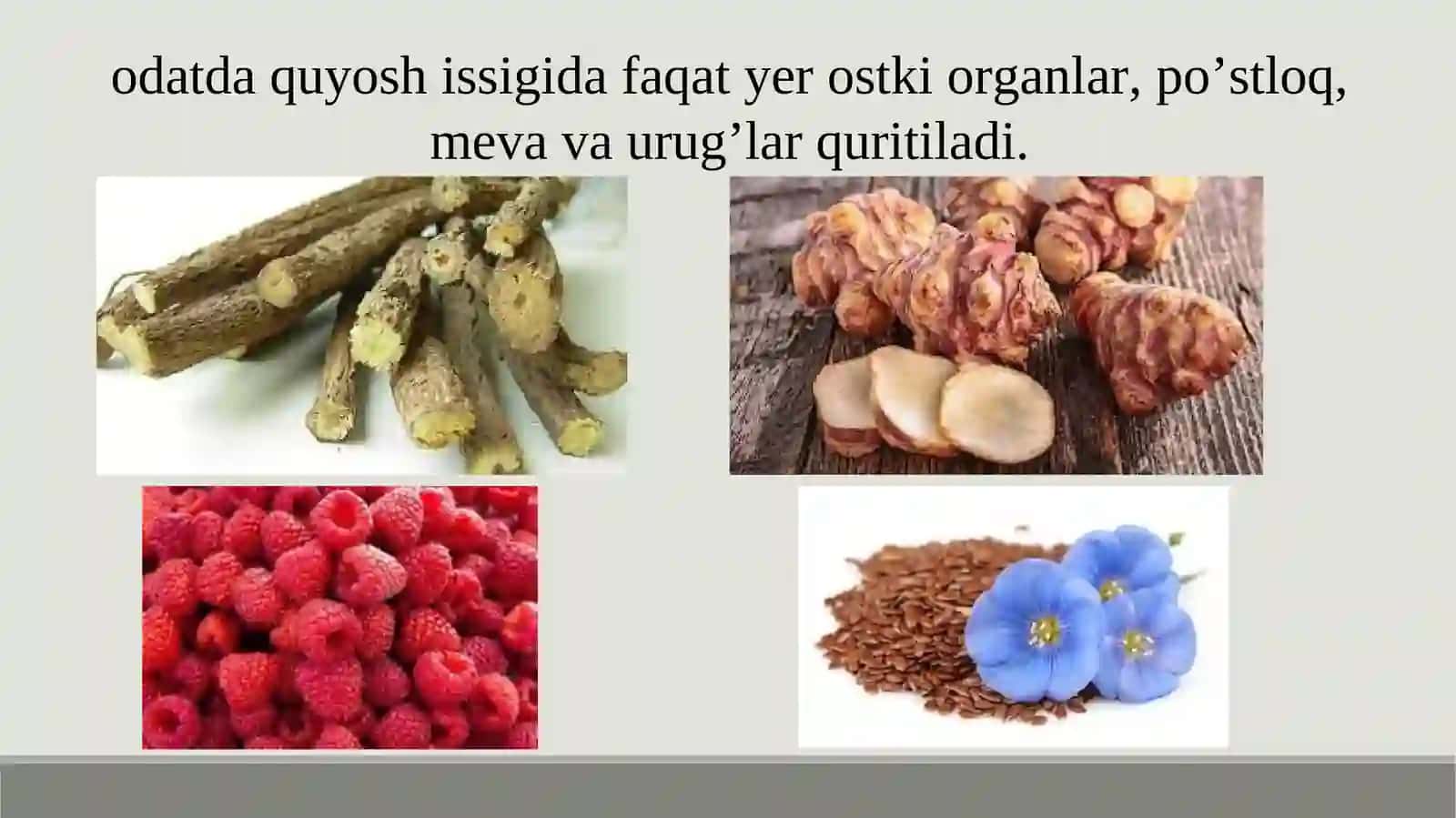 DORIVOR O‘SIMLIKLARXOM ASHYOSINI QURITISH USULLARI 4