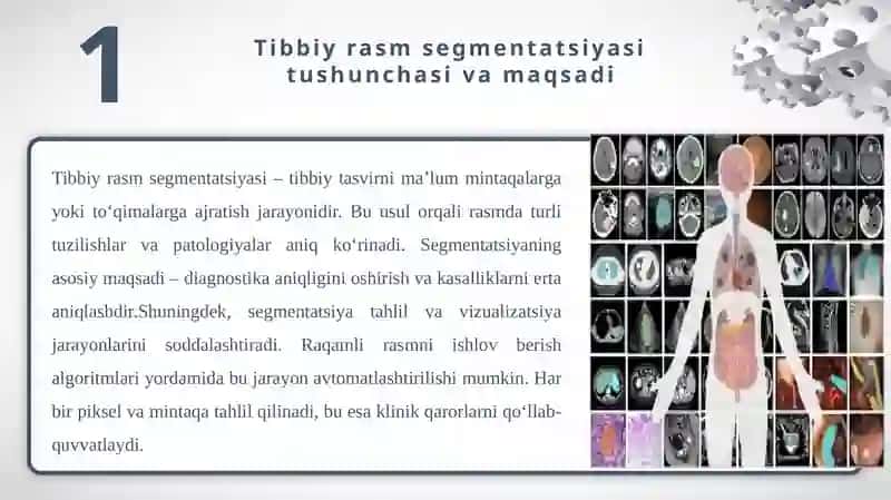 Tibbiy rasm segmentatsiyasi: Saratonni aniqlashda qo‘llanmalar 4
