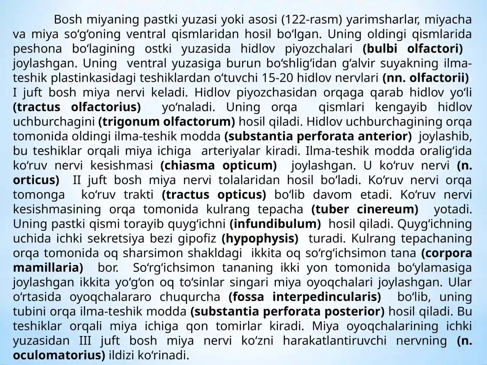 Bosh miya uning tuzilishi yosh bolalarda rivojlanish darajalari 4