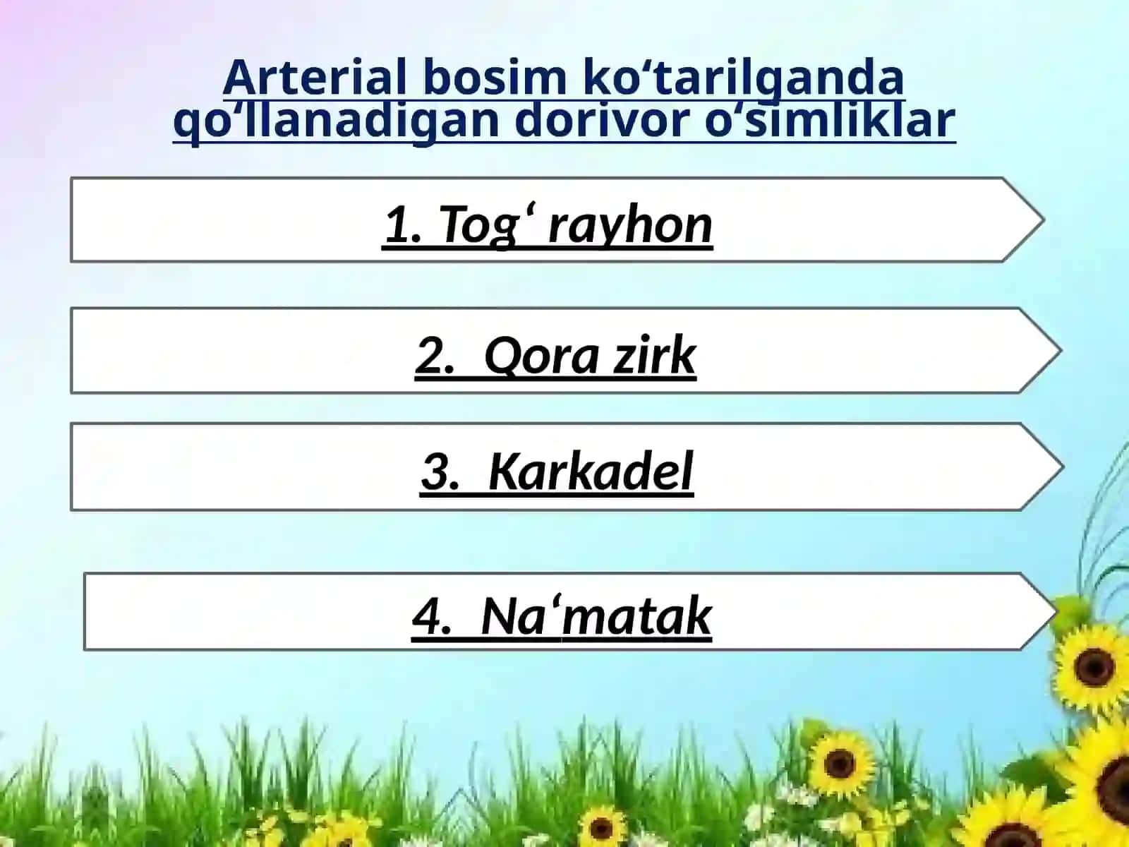Arterial bosim ko‘tarilganda dorivor o‘simliklardan xalq tabobati usulida davolash 4