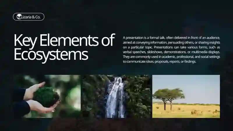 What Is Ecosystem? 4