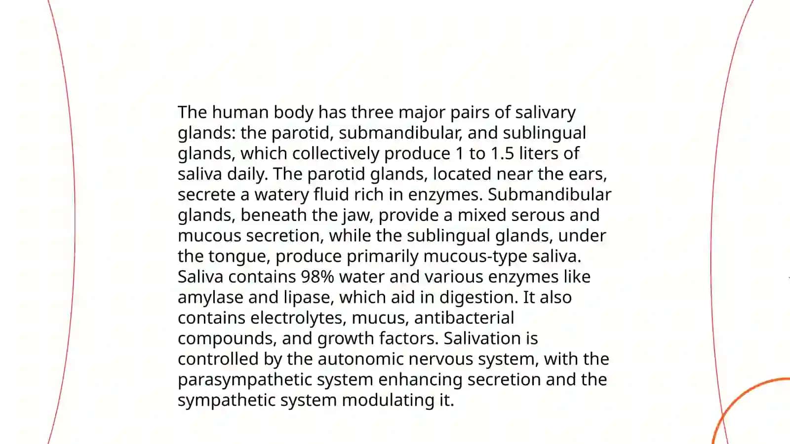 Anatomy of the Oral Cavity 4