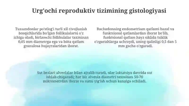 Erkaklar Va Ayollar Jinsiy Sistemasi Gistologiyasi 4