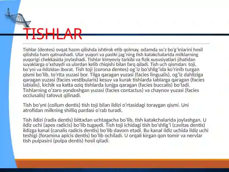 Ovqat hazm qilish organlarining tuzilishi va vazifasi 4