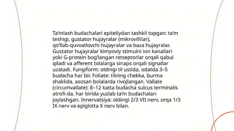 Ta’m bilish va hid bilish a zolarining funksional anatomiyasi 4