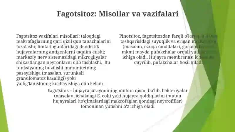 Hujayra fiziologiyasi 4