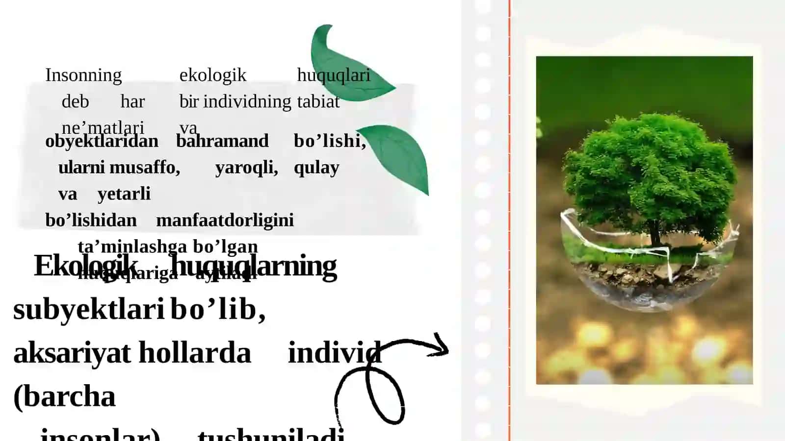 EKOLOGIK HUQUQLAR 4
