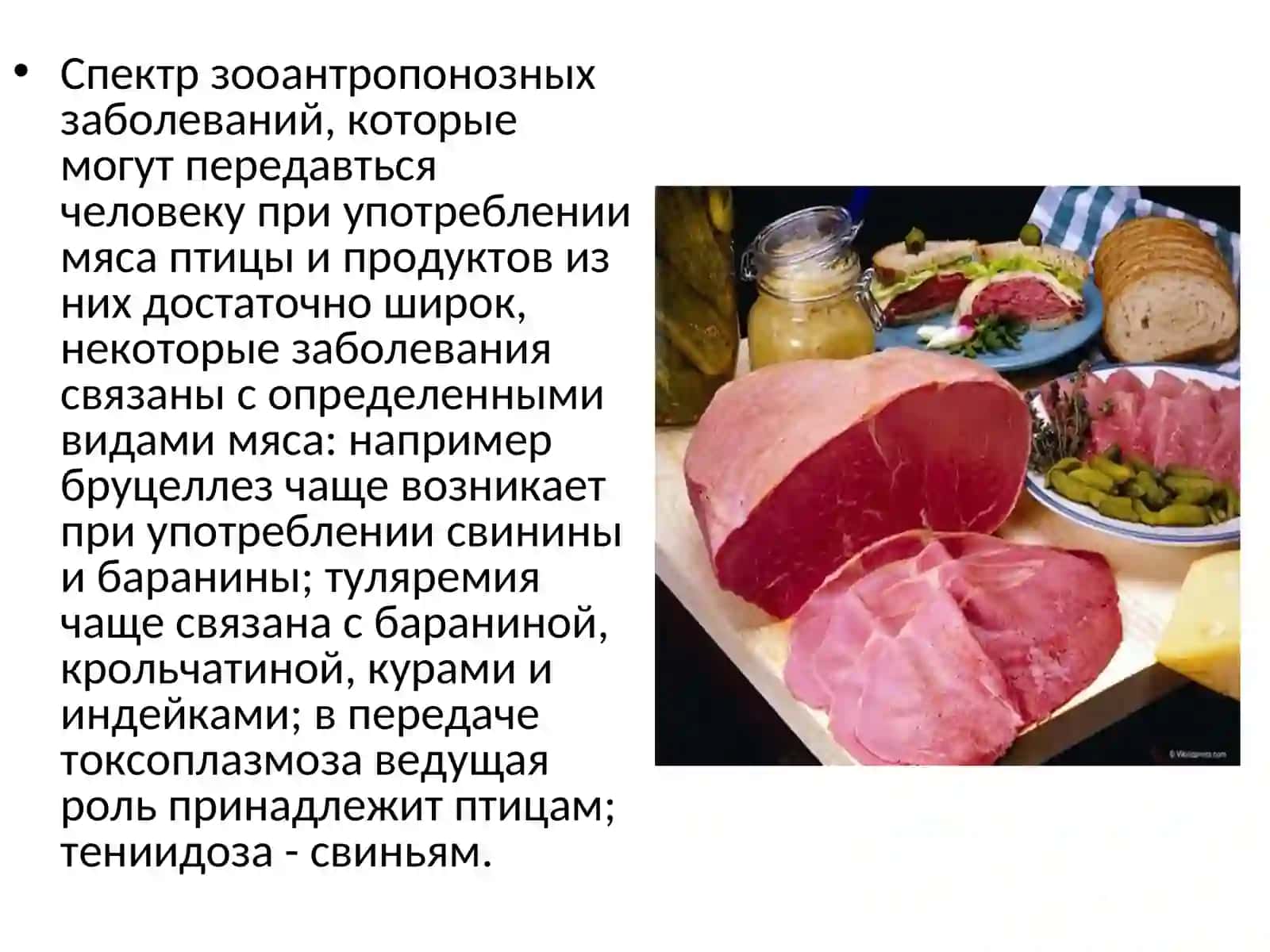 МИКРОФЛОРА МЯСА И МЯСНЫХ ПРОДУКТОВ 4