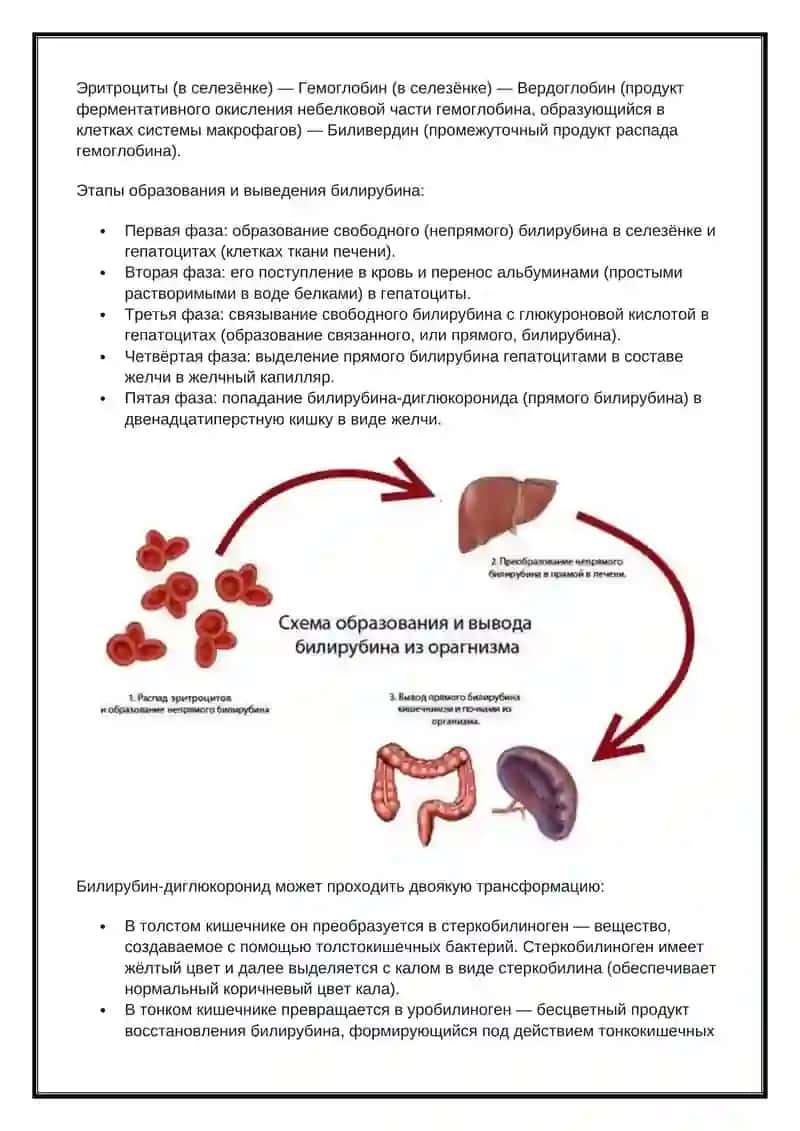 Вирус геппагита 4