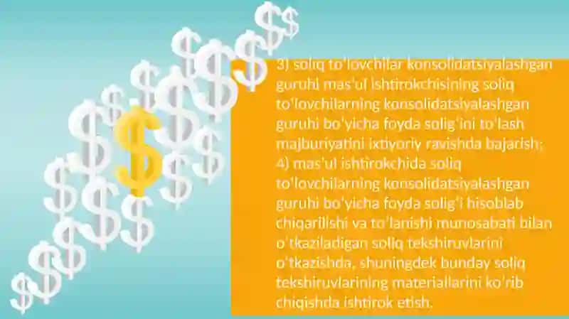 Soliq to‘lovchilar konsolidatsiyalashgan guruhi ishtirokchilarining huquq va majburiyatlari 4